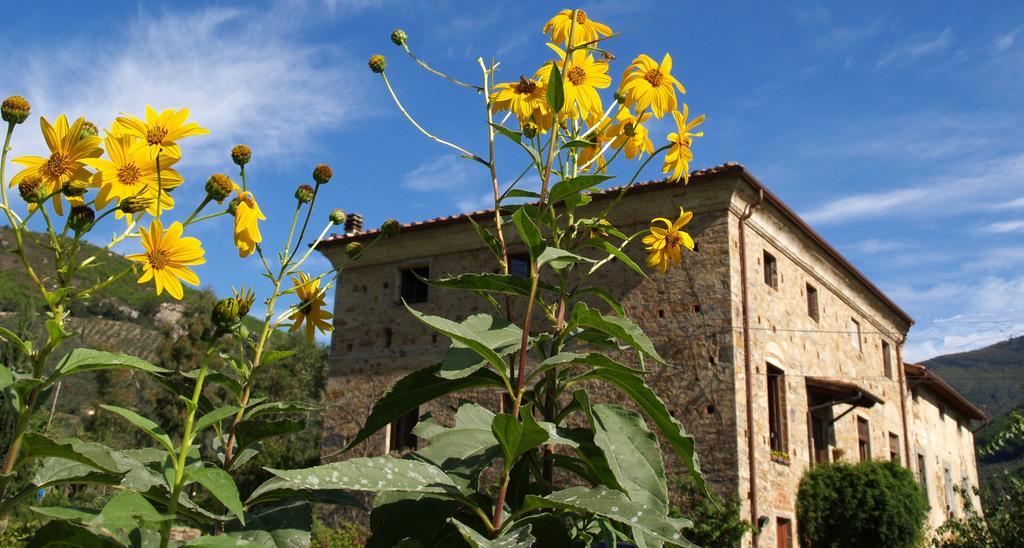 Villa Al Palazzaccio Calci Habitación foto